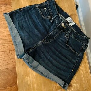 Denizen from Levi’s High Rise Dark Wash Denim Shorts
